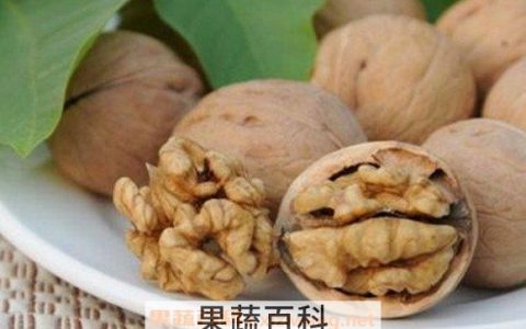 核桃皮泡水的功效与作用机理 核桃皮泡水有什么功效