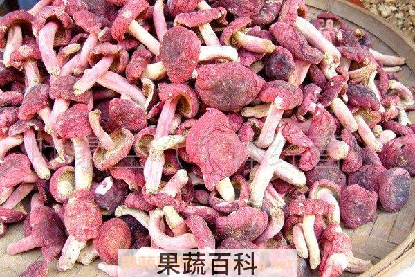 大红菌