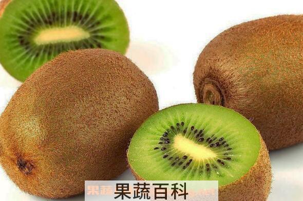 猕猴桃怎么催熟 猕猴桃最快催熟方法