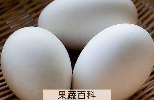 鹅蛋对女人有什么好处 女性长期吃鹅蛋的好处