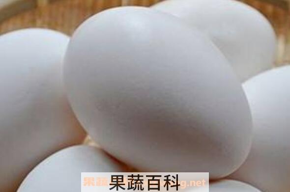 鹅蛋对女人有什么好处 女性长期吃鹅蛋的好处