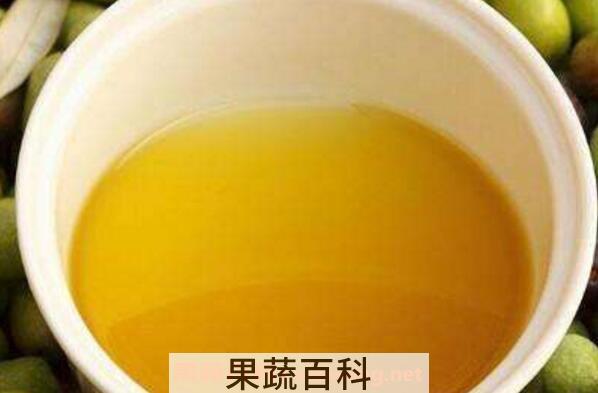 茶油的美容功效与作用
