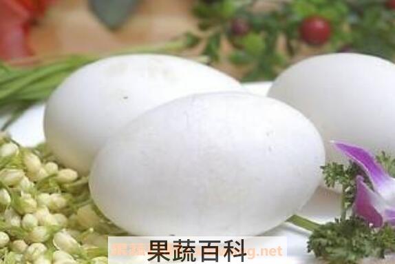  鹅蛋怎么吃最营养 鹅蛋的吃法技巧教程