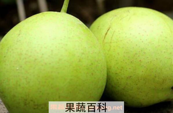 青皮梨叫什么 青皮梨的功效与作用