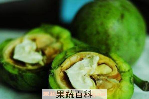 核桃皮的功效作用 核桃皮能治什么病