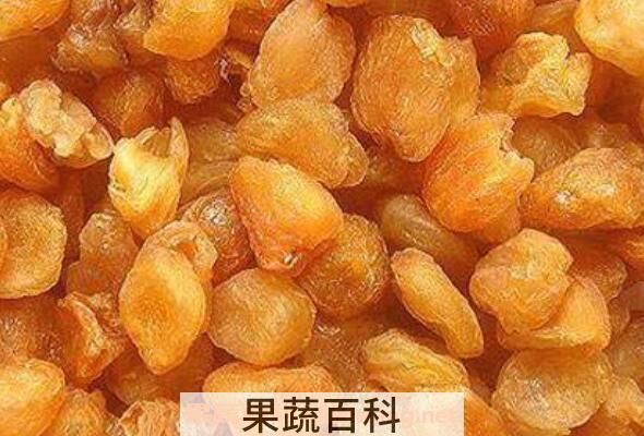 桂圆肉泡水喝的功效