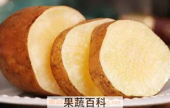 雪莲果的功效与作用及食用方法