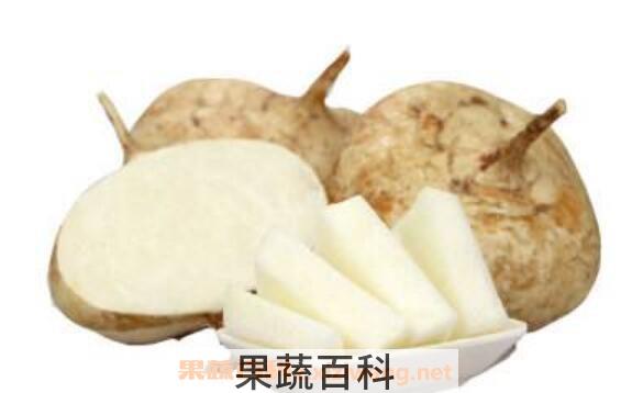 土瓜怎么吃最有营养 土瓜怎么做好吃