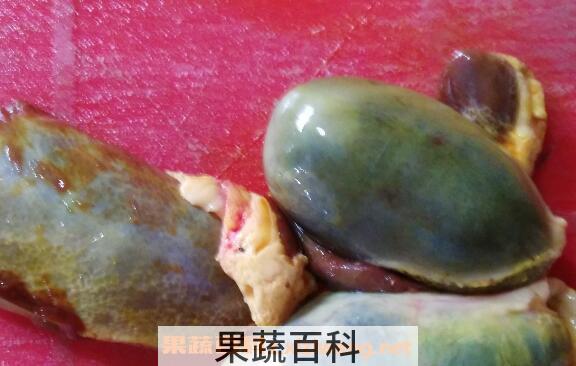 猪胆能吃吗 猪胆的功效与作用有哪些