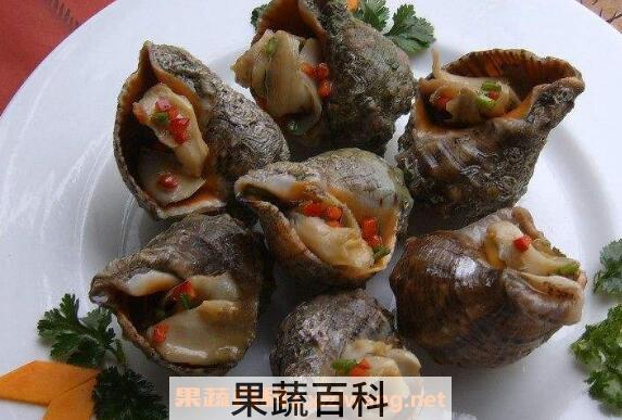 海螺的正确吃法图解 海螺不能吃的部位图示