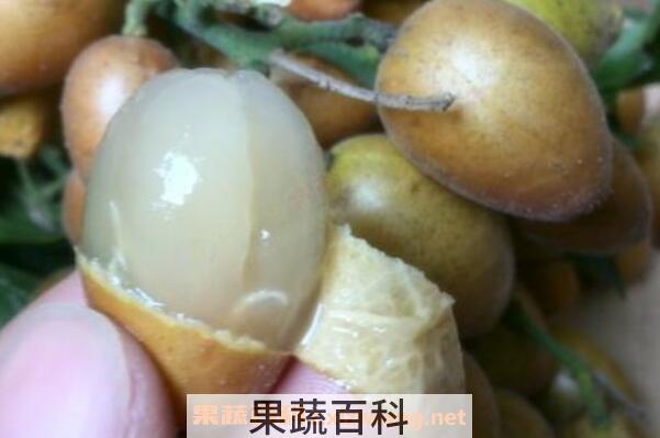 黄皮果泡酒的作用与功效
