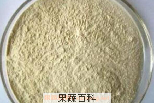 白芸豆粉的功效与作用及食用方法