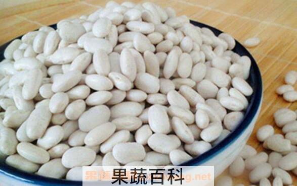白芸豆粉的功效与作用及食用方法