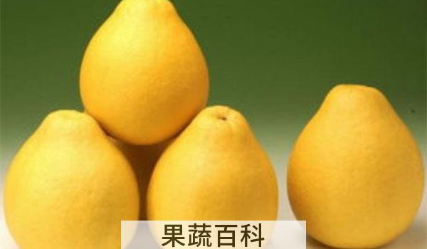 柚子怎么挑选好吃的