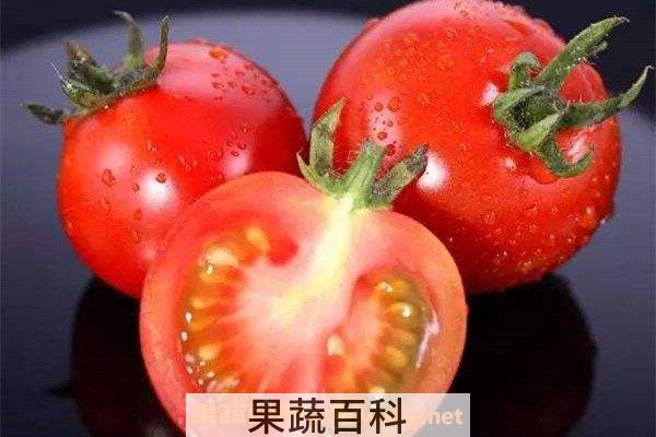 西红柿籽