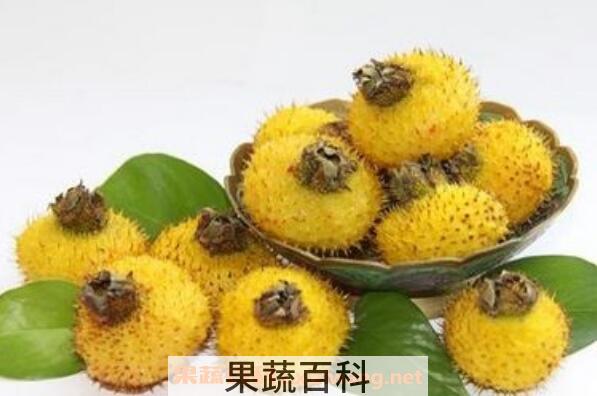 刺梨酒怎么泡 刺梨酒的泡制方法