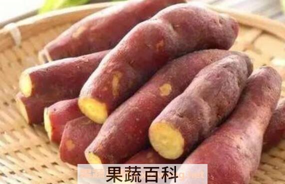 地土瓜的功效与作用