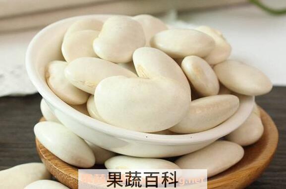 白芸豆怎么吃 白芸豆的做法大全