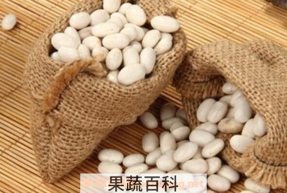 大白芸豆的功效与作用