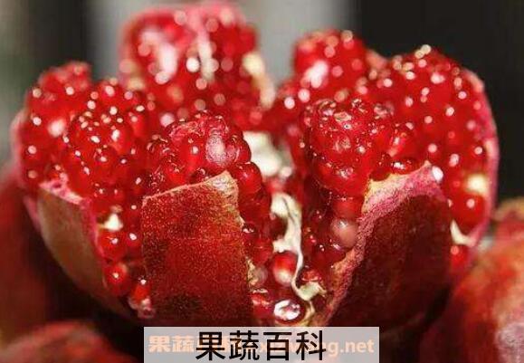 红石榴的功效与作用及副作用