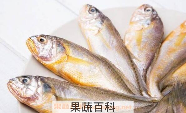 大黄鱼与小黄鱼的区别