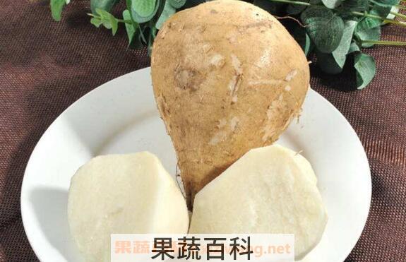 沙葛的功效与作用 沙葛的副作用
