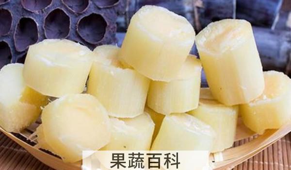 甘蔗砍下来能保存多久