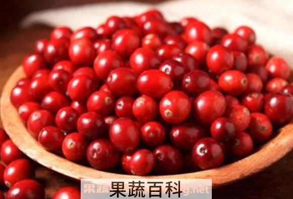 蔓越莓的功效与作用 蔓越莓的食用方法