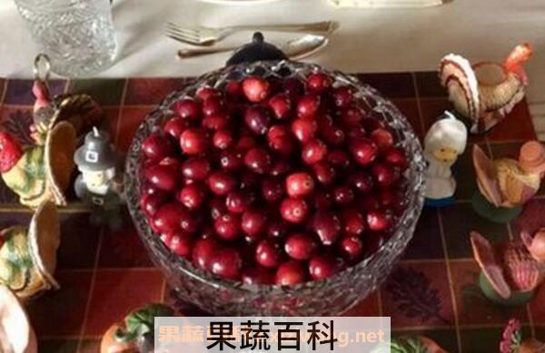 蔓越莓的功效与作用 蔓越莓的食用方法