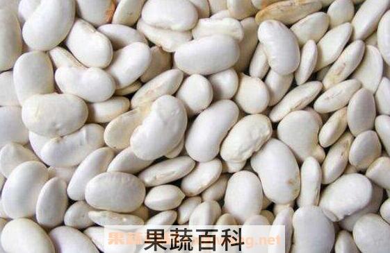 白芸豆的功效与作用 吃白芸豆的好处