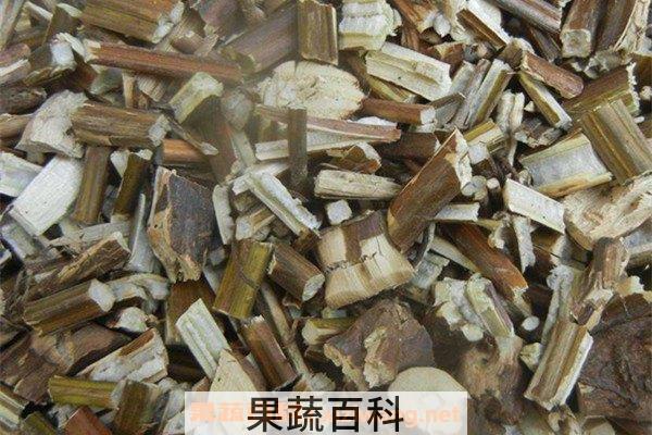 苏梗