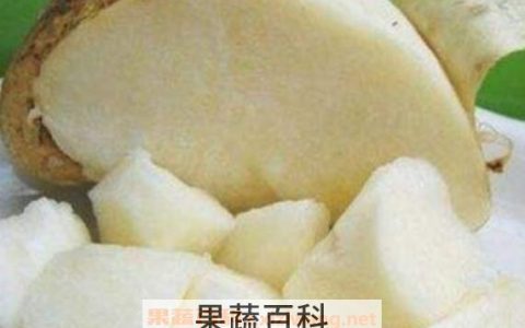 土瓜生吃的功效与作用土瓜的热量 土瓜生吃的营养功效与作用