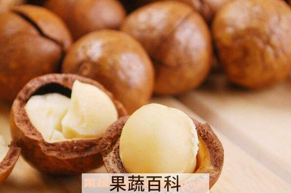 夏威夷果怎么打开 夏威夷果怎么吃