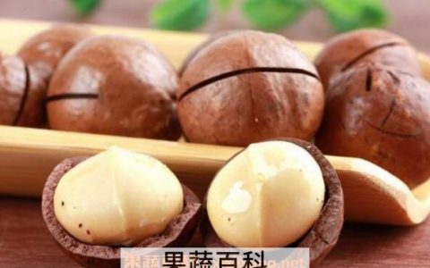 夏威夷果的功效与作用及食用方法 夏威夷果的作用和功效