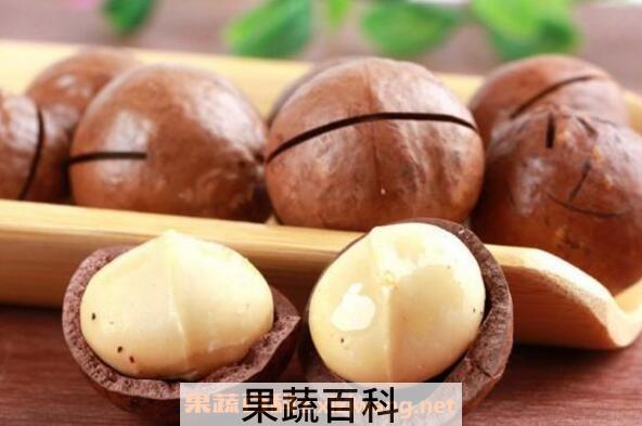 夏威夷果的功效与作用及食用方法