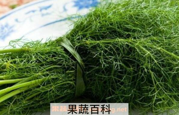  哪些人不适合吃茴香菜 吃茴香菜的坏处