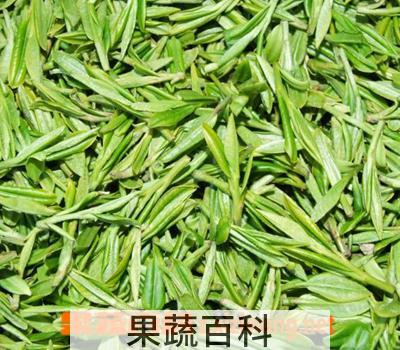 果蔬百科卷丹百合