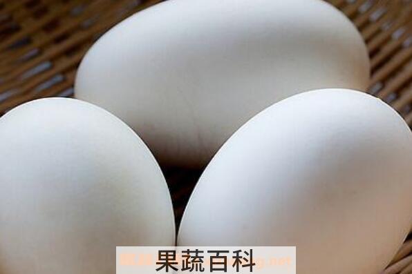 鹅蛋的功效与作用 吃鹅蛋有什么好处