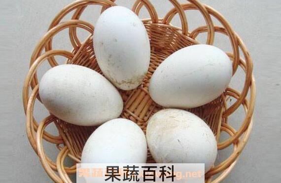 鹅蛋的功效与作用 吃鹅蛋有什么好处