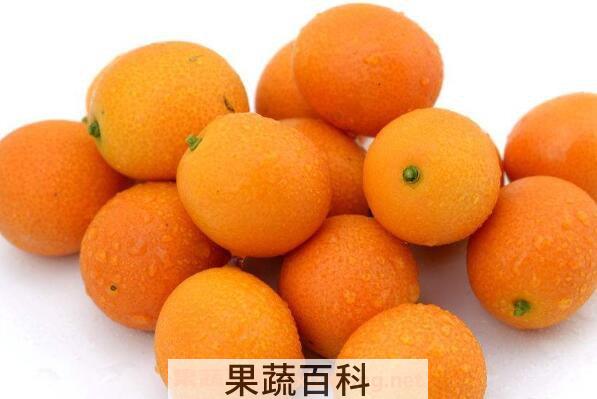 金钱橘泡酒功效与作用