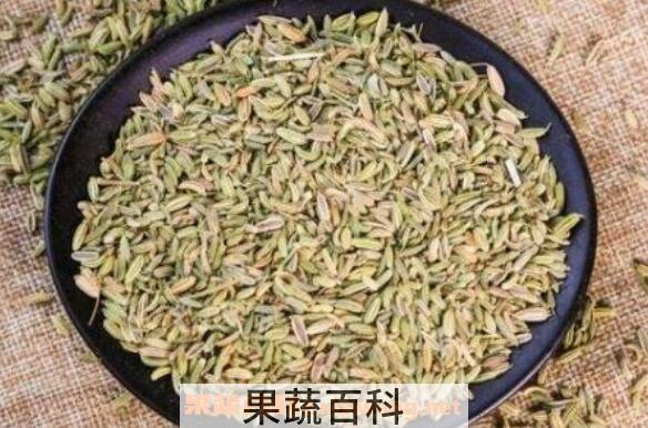 大茴香和小茴香的区别 茴香的功效与作用
