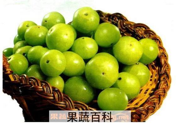 余甘子粉的功效与作用 余甘子粉的副作用