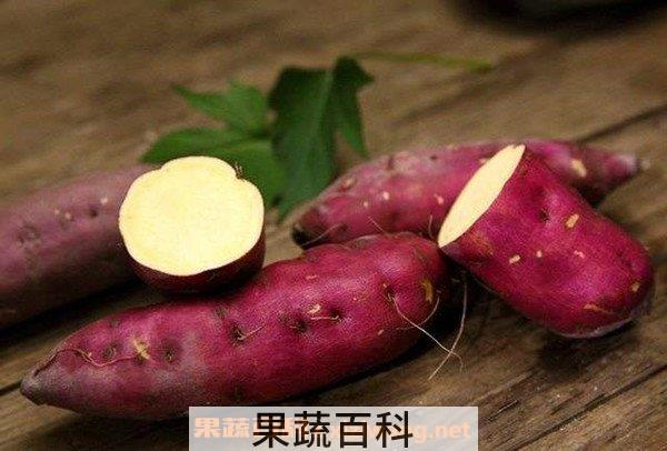 雪莲果