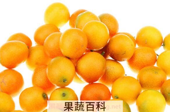 金钱桔糖腌制方法 金钱橘冰糖的功效