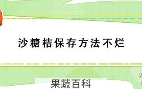 沙糖桔保存方法不烂