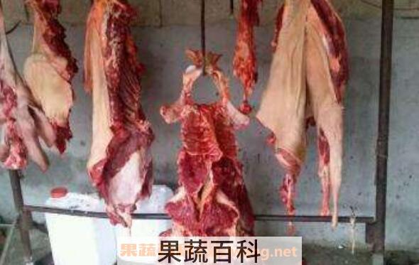 正宗骡子肉怎么做好吃 骡子肉的食用方法