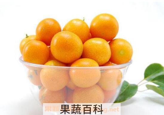 金钱橘止咳的做法