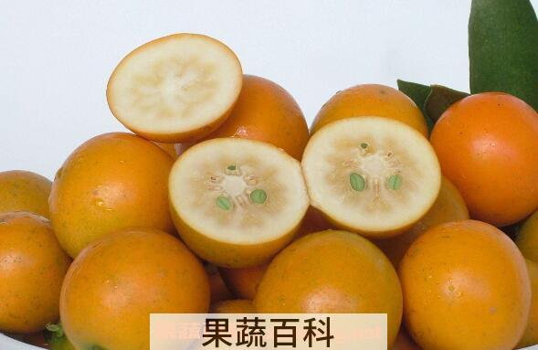 金钱橘止咳的做法