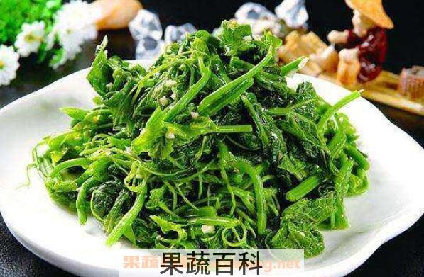 龙须菜的营养价值 龙须菜的食用方法