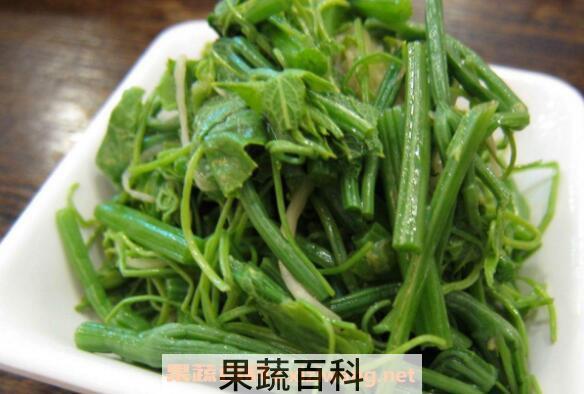 龙须菜的营养价值 龙须菜的食用方法